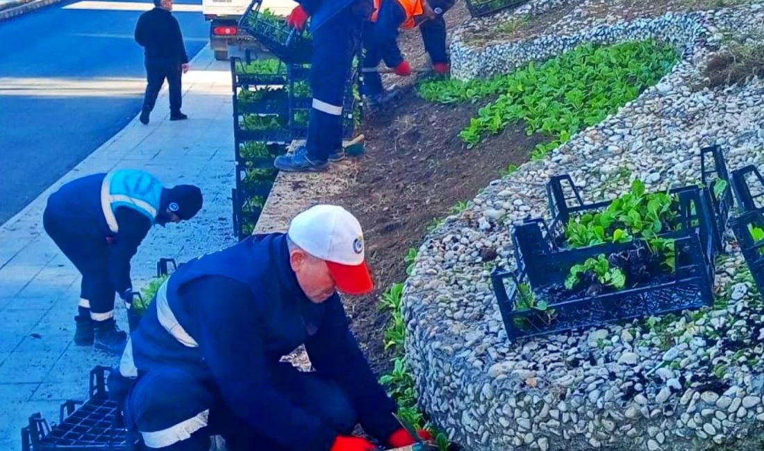 Gebze Belediyesi Park ve Bahçeler Müdürlüğü ekipleri, ilçenin dört bir