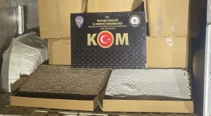 TEM Otoyolu'nun Kocaeli geçişinde durdurulan araçta yapılan aramada 891 bin