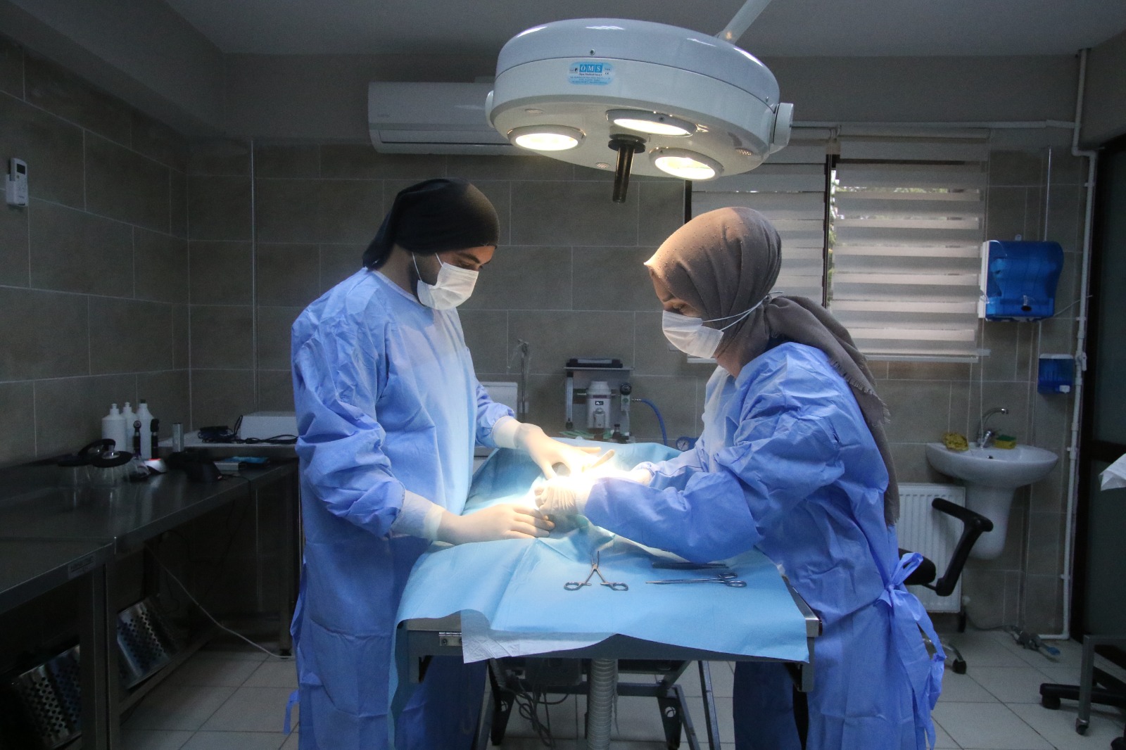 Çayırova’da yaralı halde bulunan yavru kedi, Patilik Mutlu Sokak Hayvanları