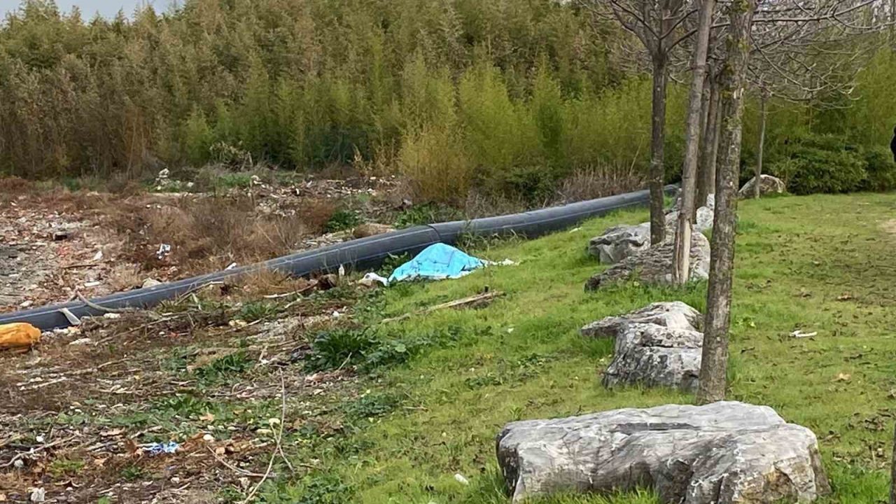 Kocaeli’nin İzmit ilçesinde elleri ve ayakları bağlanmış haldeki cesedi denizden