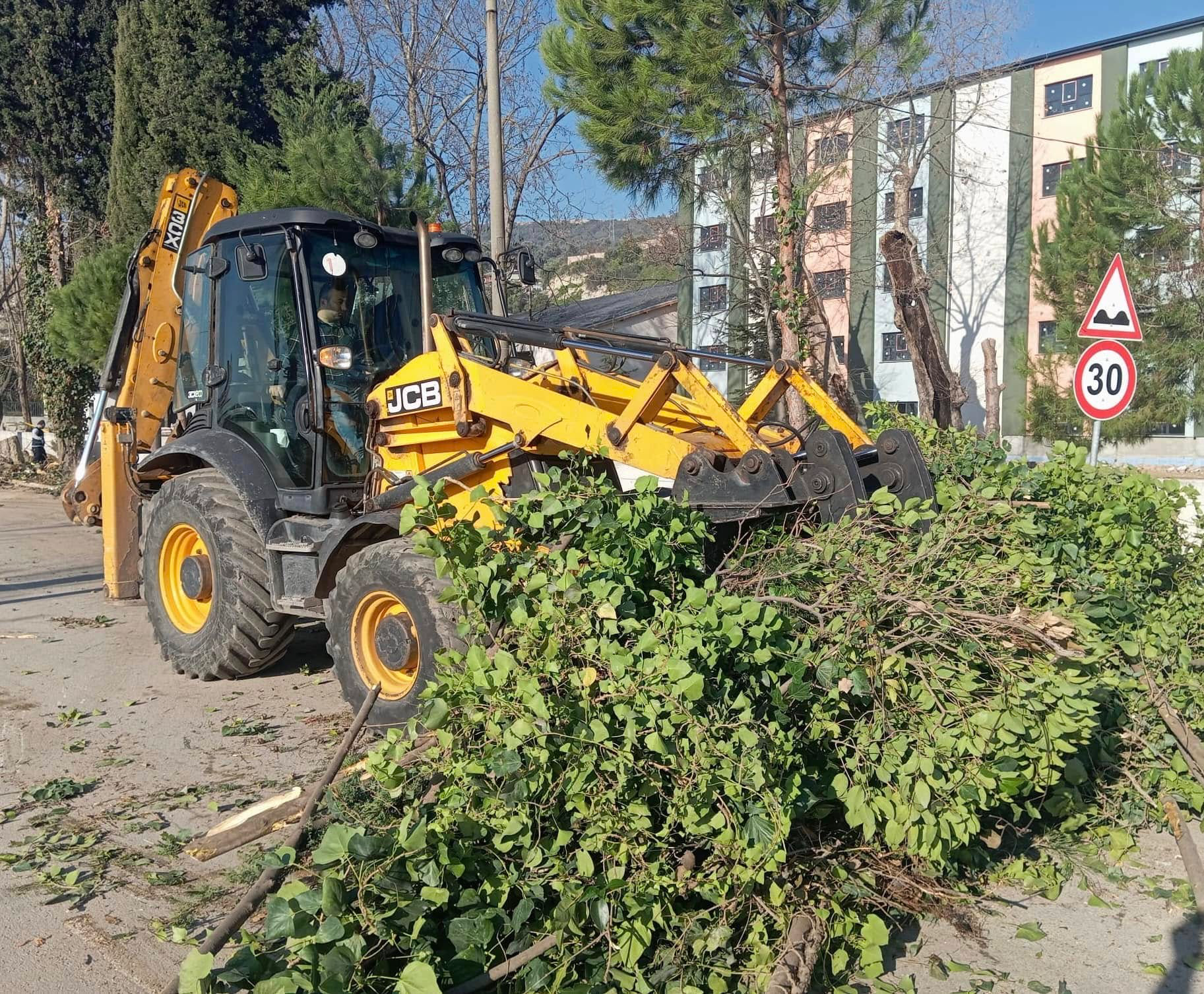 Körfez Belediyesi, yeşil alan bakımlarına ara vermeden devam ediyor. Ekipler,