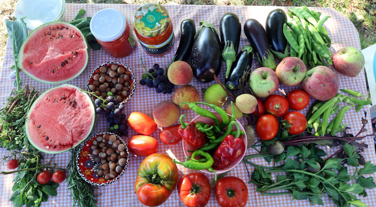 Büyükşehir, 2024’te tarım ve hayvancılığa verdiği 235 milyon lira değerinde