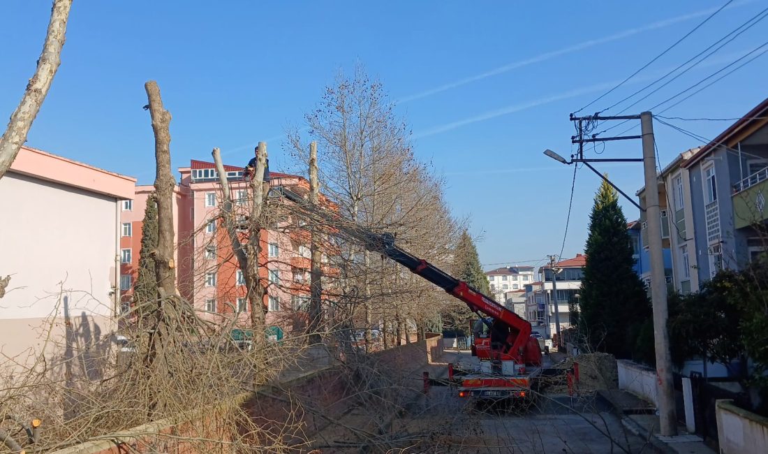 Dilovası Belediyesi, Park ve Bahçeler Müdürlüğü ekipleri, 15 tatil süresince