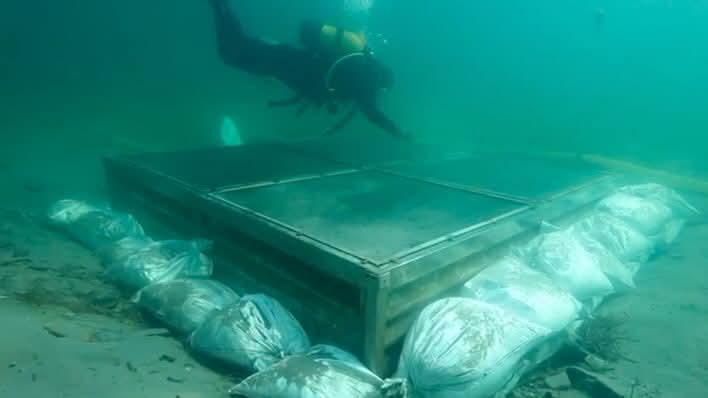 Kültür ve Turizm Bakanlığı, Doğu Marmara Kalkınma Ajansı, Kocaeli İl