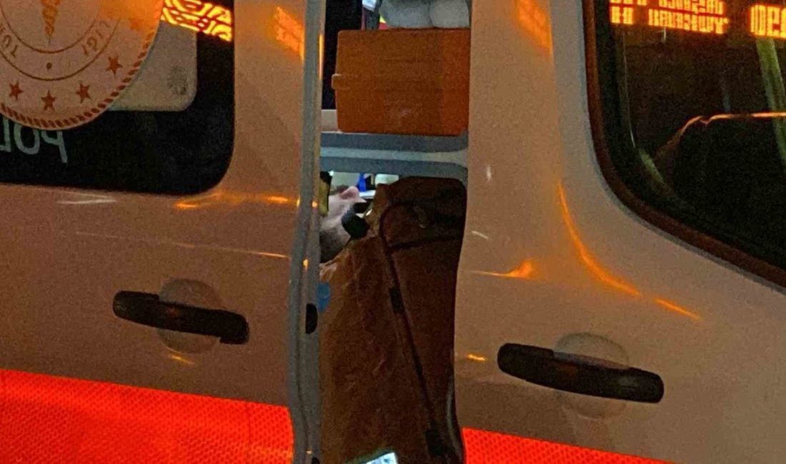 Kocaeli’nin İzmit ilçesinde otomobile çarpan hafif ticari aracın sürücüsü yaralandı.