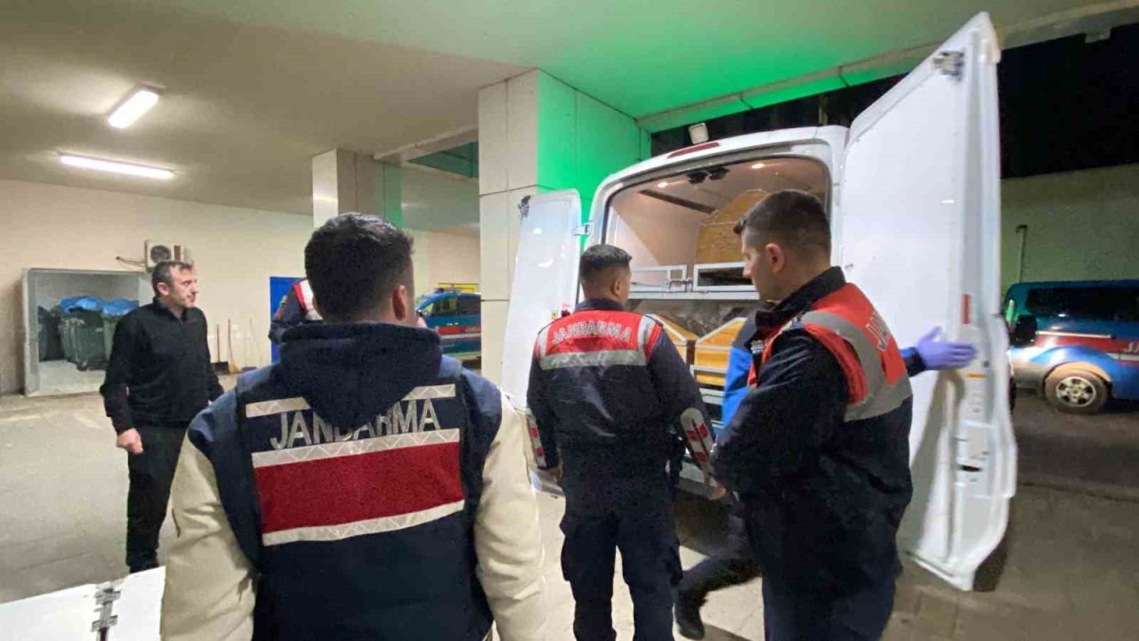 Kocaeli’nin Kartepe ilçesinde ormanlık alanda dili ve kulakları kesilmiş halde