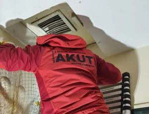 Kocaeli'nde çatıda 10 gündür mahsur kalan kedi, AKUT ekipleri tarafından