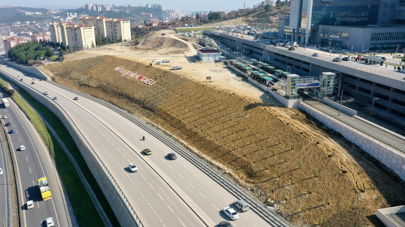 yeşil