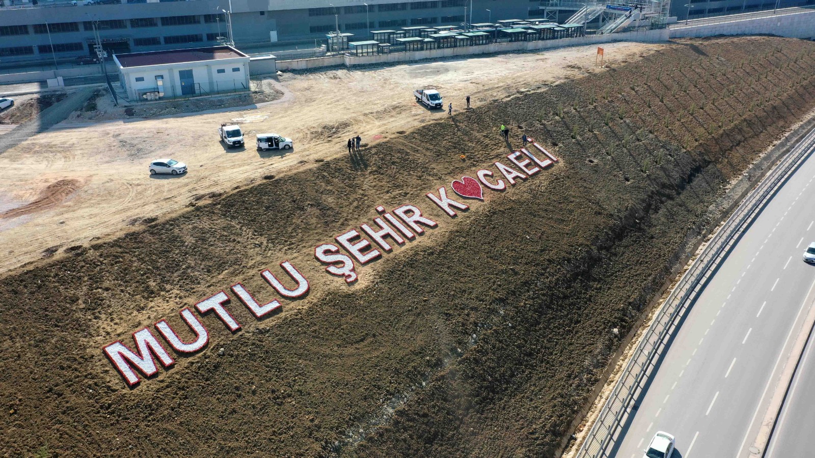 yeşil
