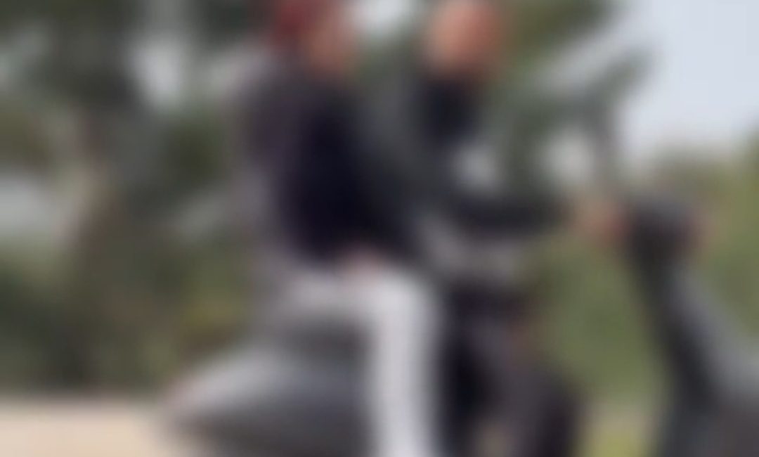 Derince'nin Çınarlı bölgesindeki bir mesire alanında, köpek besleyen bir kadın
