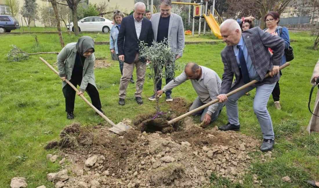 Gölcük’te Orman Haftası kapsamında düzenlenen etkinlikte zeytin fidanları toprakla buluşturuldu.