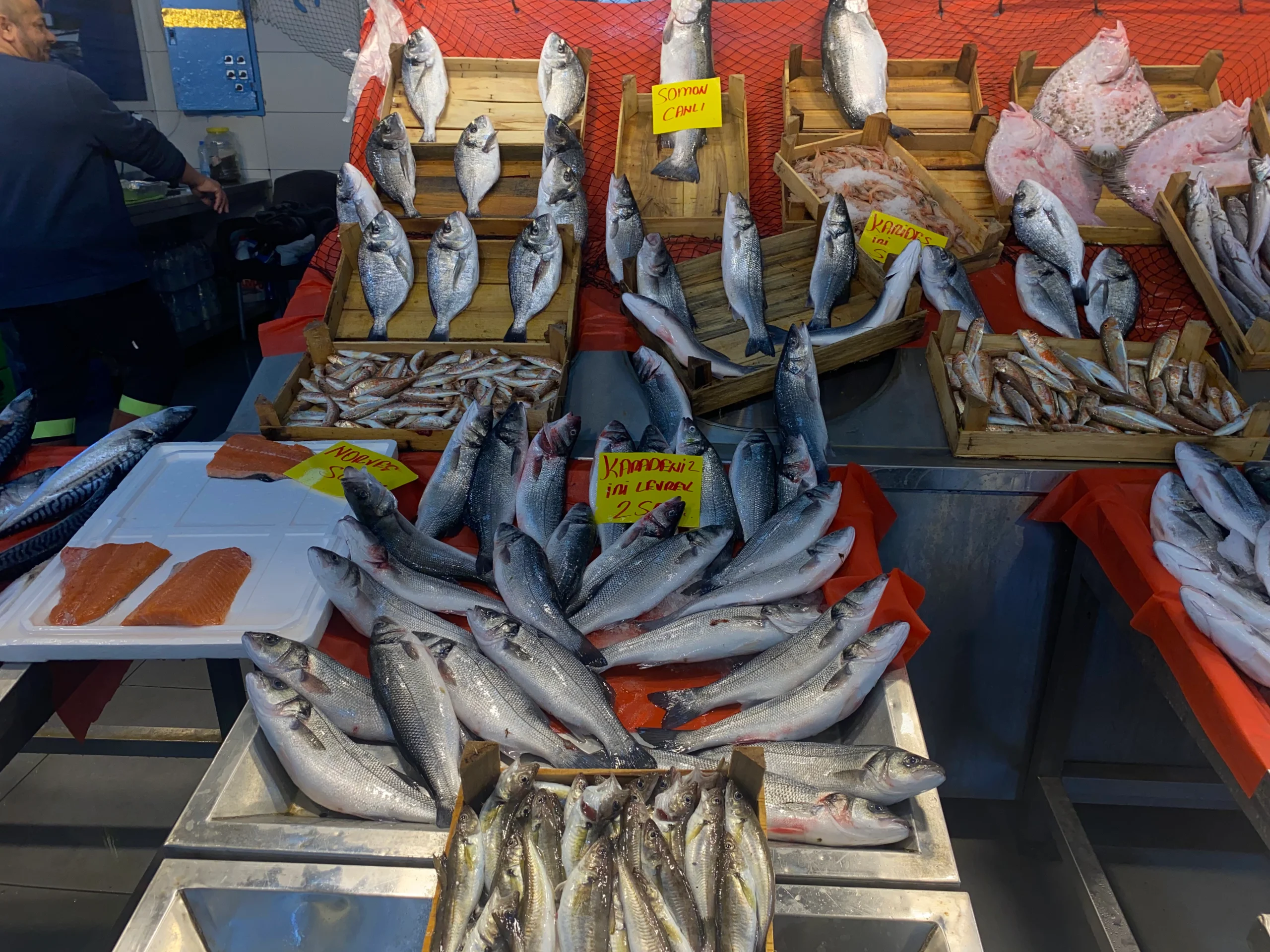 Balık avı sezonu 15 Nisan'da sona ererken, Kocaeli'de balıkçılar sezonun