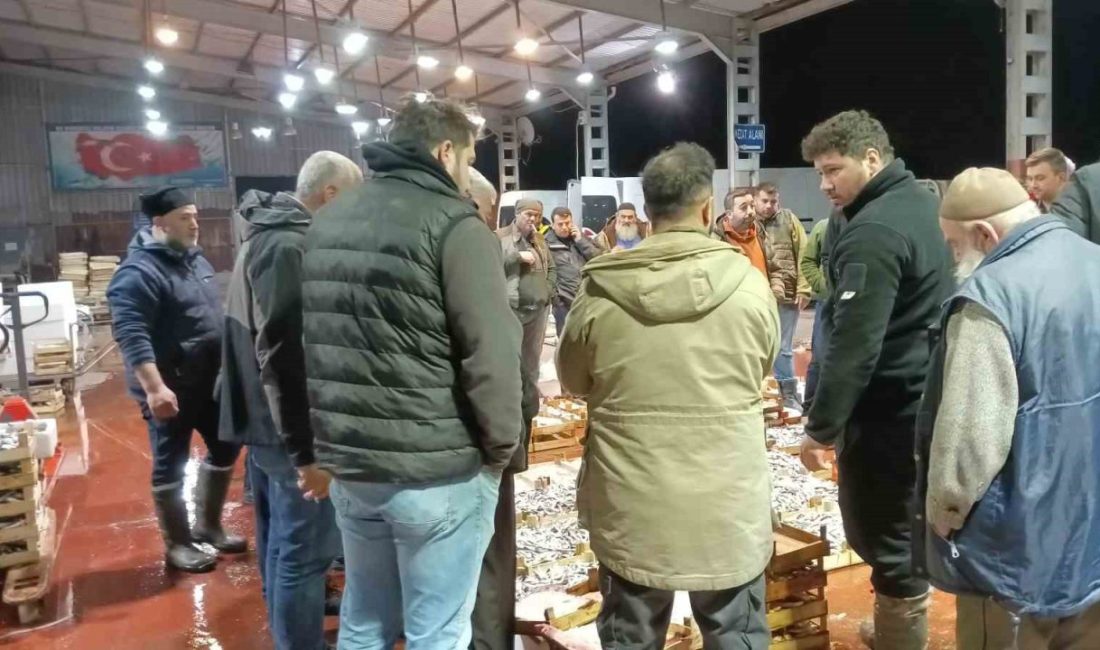 Av yasağının başlaması ile birlikte büyük tekneler limana demir atarken,