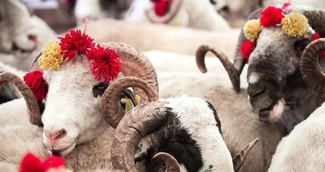 Kültür ve Turizm Bakanı Mehmet Nuri Ersoy, "Kurban Bayramı tatili