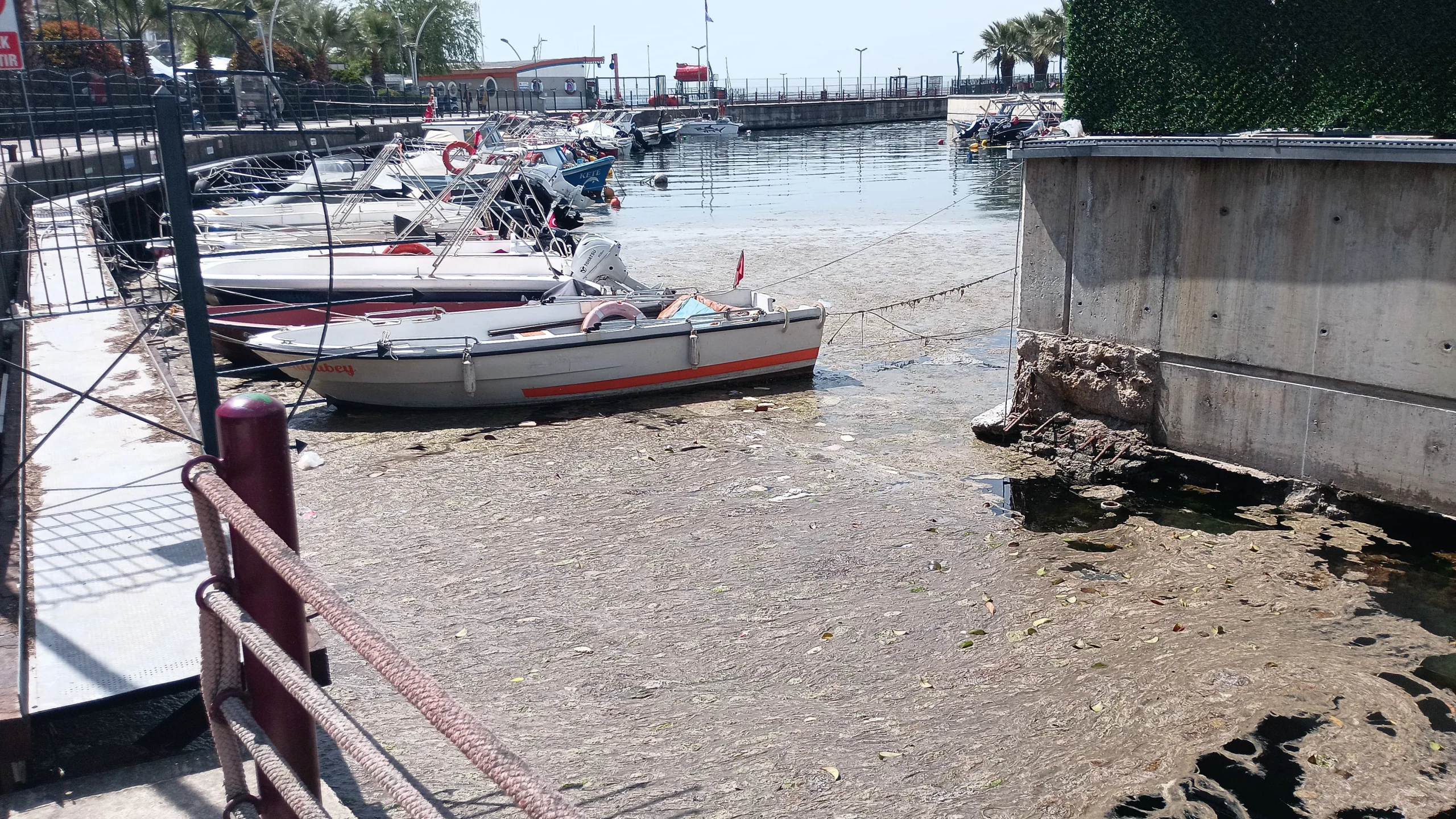 kocaeli