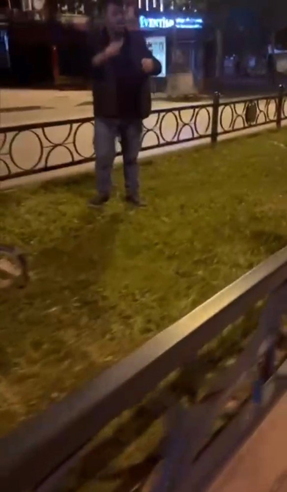 Türk Bayrağı