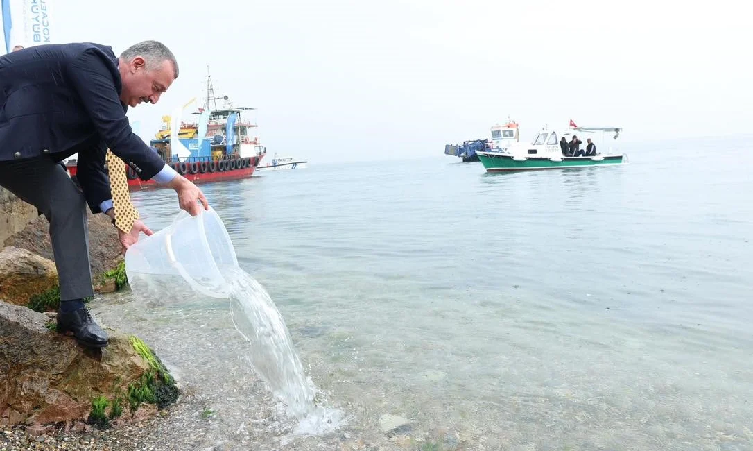 Dip çamuru temizliği, ileri biyolojik arıtma ve balıklandırma projeleriyle İzmit