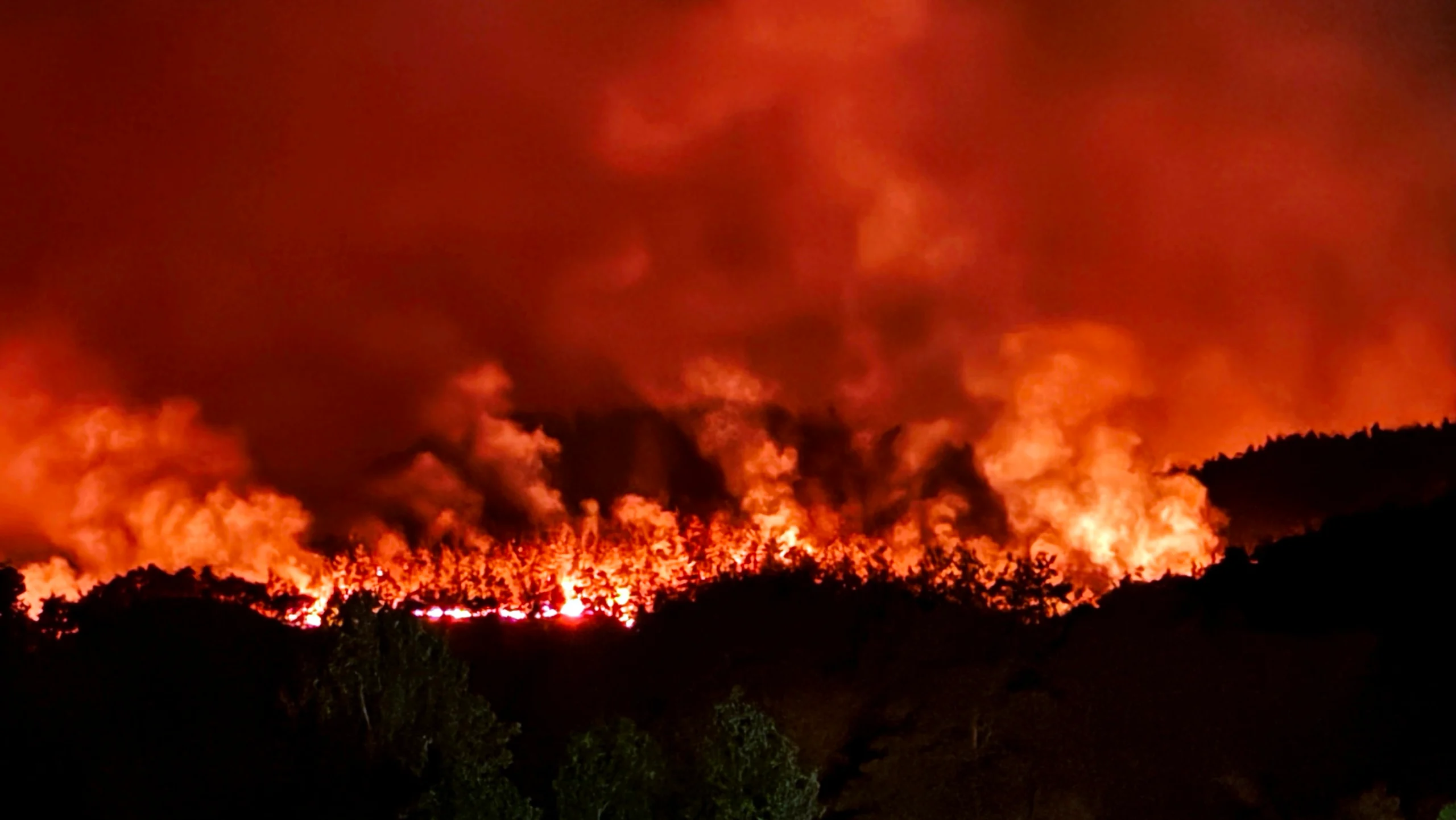 Sakarya’nın Taraklı ilçesinde öğle saatlerinde başlayan orman yangını gece saatlerinde