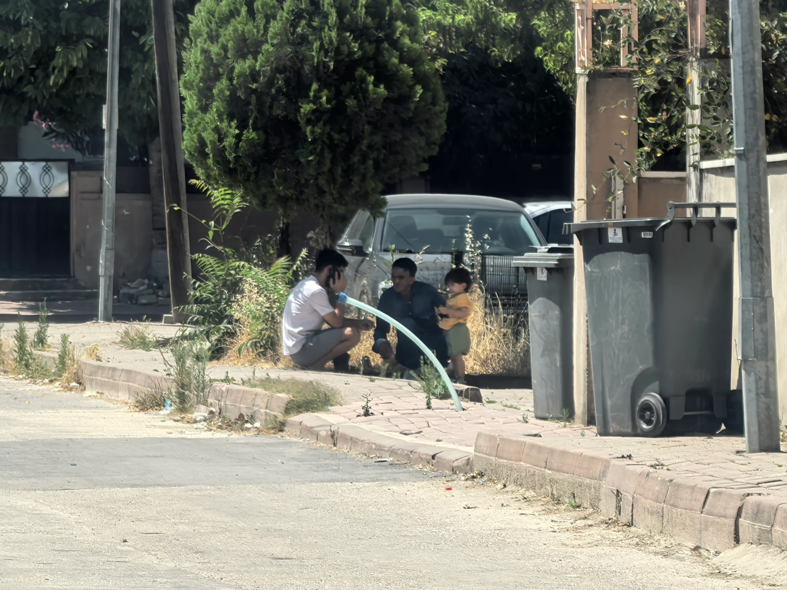1 aylık