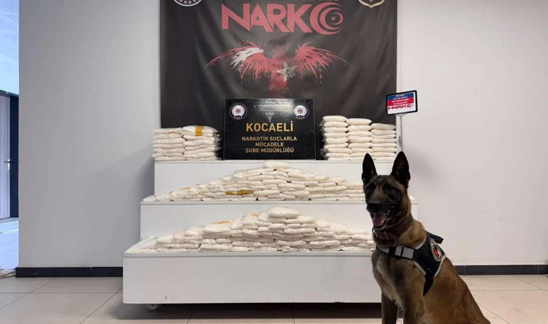 Kocaeli TEM Otoyolu'nda narkotik köpeği ile cipte yapılan aramada zulalanmış