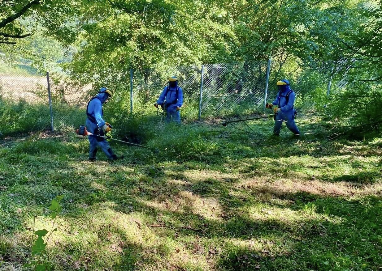 Körfez Belediyesi, yaklaşan Kurban Bayramı öncesinde vatandaşların ziyaretlerini rahat ve