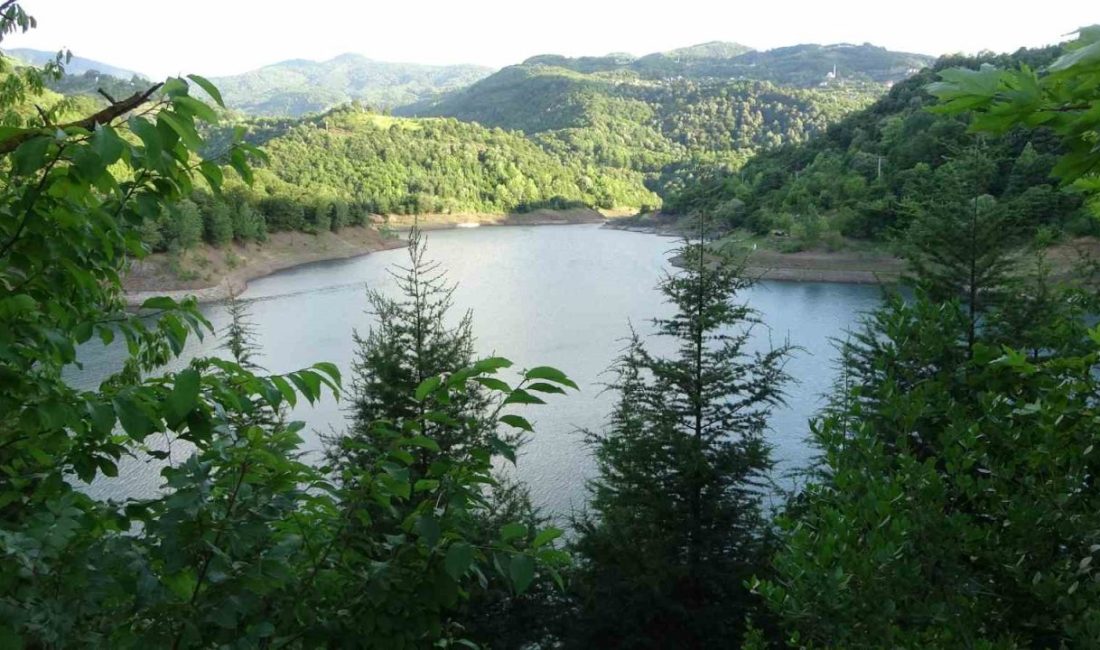 Kocaeli'ye içme suyu sağlayan barajlardaki doluluk seviyeleri merak konusu olmaya