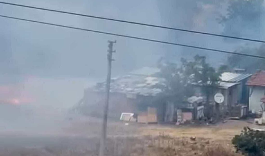 Kocaeli’nin Derince ilçesi Yenikent Mahallesi’nde bulunan bir prefabrik yapıda çıkan