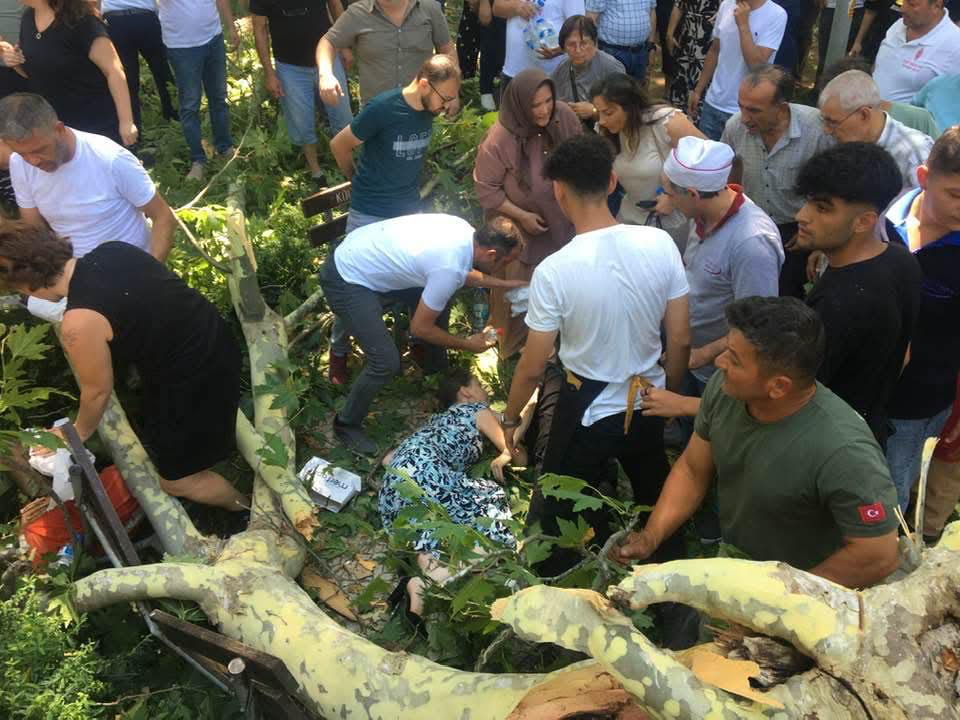 Gölcük’te tarihi çınar ağacından düşen dalın altında kalan Seda Karakol