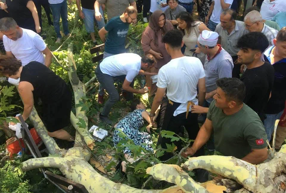 Kocaeli Gölcük’te tarihi çınar ağacının dalı vatandaşların üzerine devrildi. Olayda