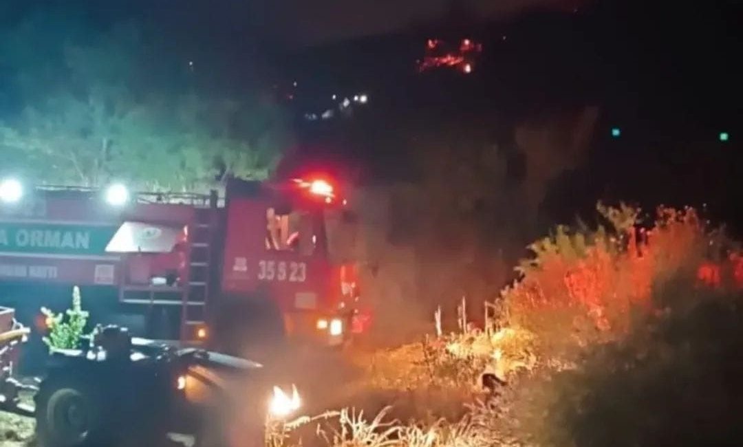 Manisa'nın Turgutlu ilçesinde "üzerinde kene var" diye yastık yakan bir