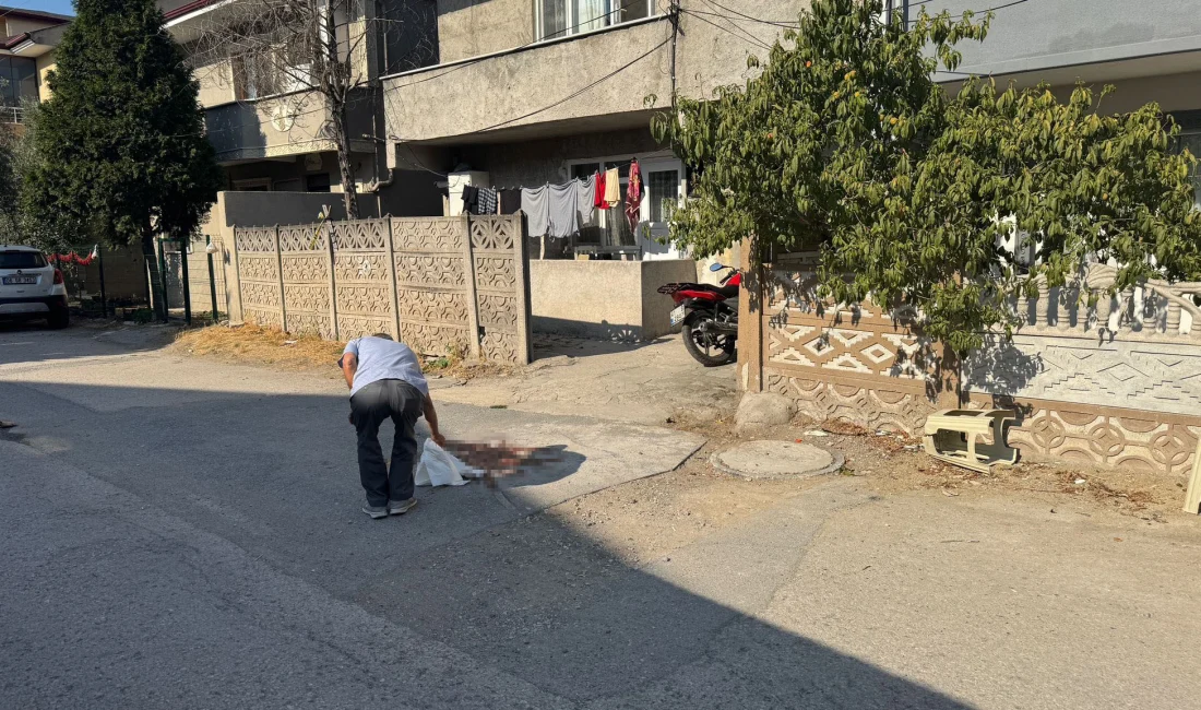 Sakarya’nın Erenler ilçesinde tartıştığı babasını pompalı tüfekle ağır yaralayan şahıs,