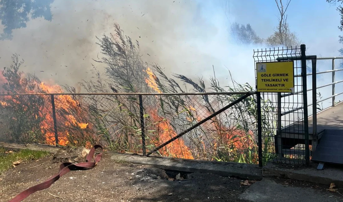 Sapanca Gölü'nün Kocaeli'nin Kartepe ilçesi sınırlarında kalan bölümündeki sazlık alanda