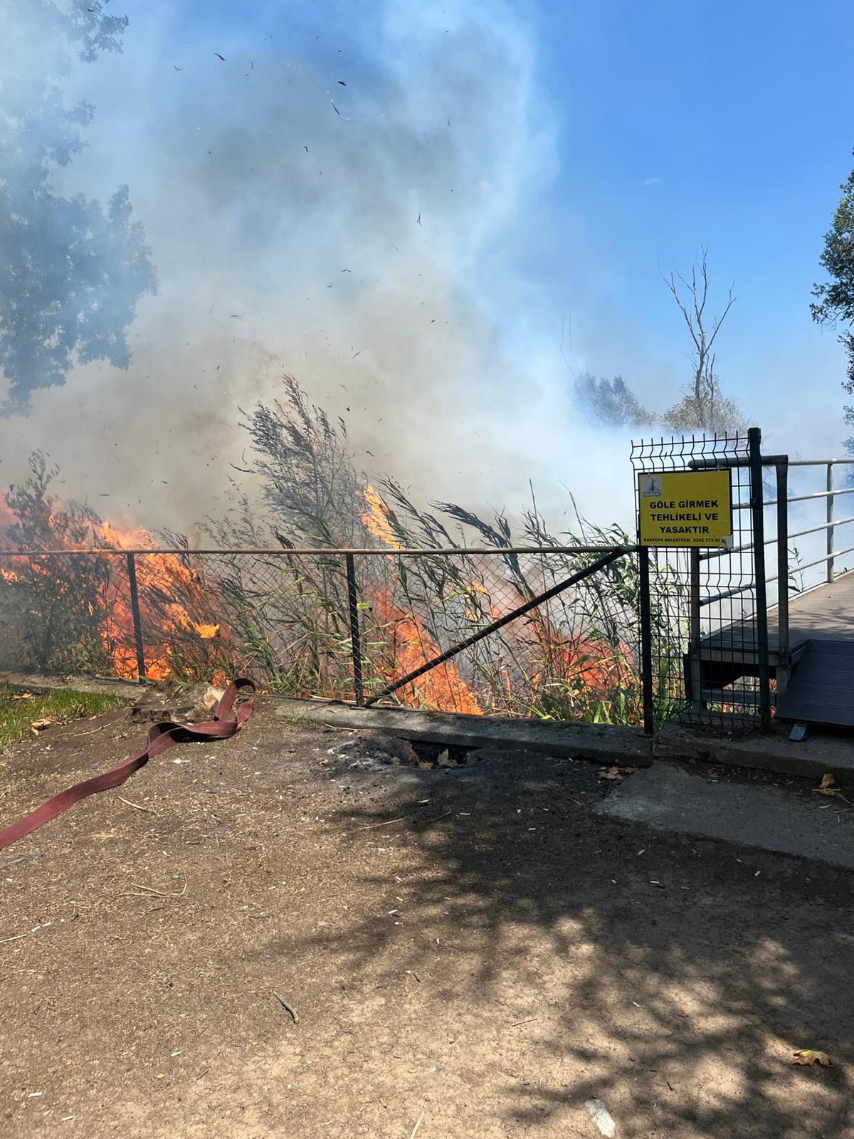 Sapanca Gölü'nün Kocaeli'nin Kartepe ilçesi sınırlarında kalan bölümündeki sazlık alanda