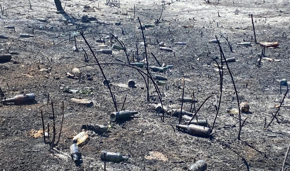 Kocaeli'nin Kartepe ilçesindeki otluk arazide çıkan yangın, itfaiye ekiplerince söndürüldü.