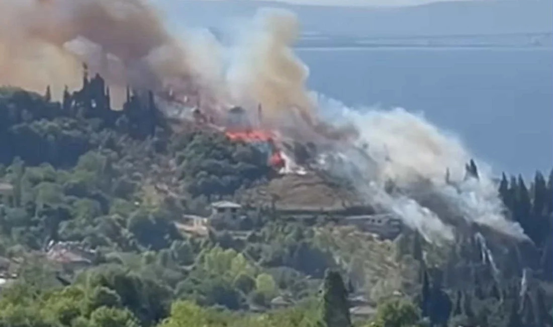Karamürsel Pazarköy Mahallesi’nde çıkan orman yangını, rüzgarın etkisiyle yerleşim alanlarına