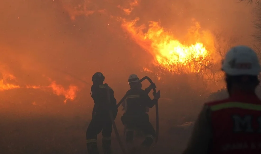 İzmir'in Ödemiş ilçesinde çıkan orman yangınında 81 yaşındaki yatalak adam