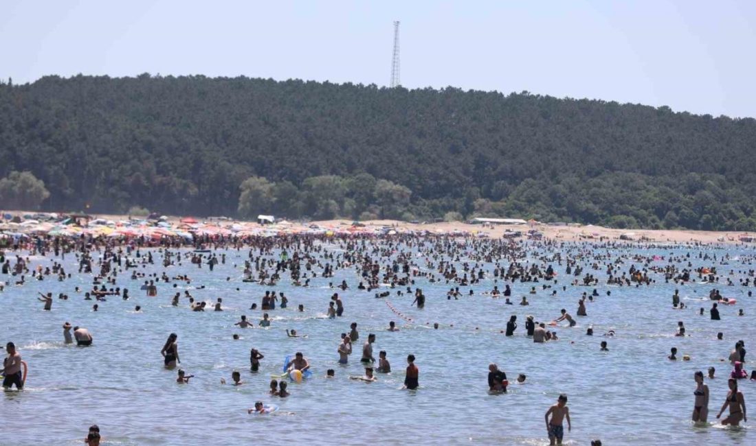 Kocaeli sahillerinde görev yapan KOSKEM ekipleri, bir haftada 202 kişiyi