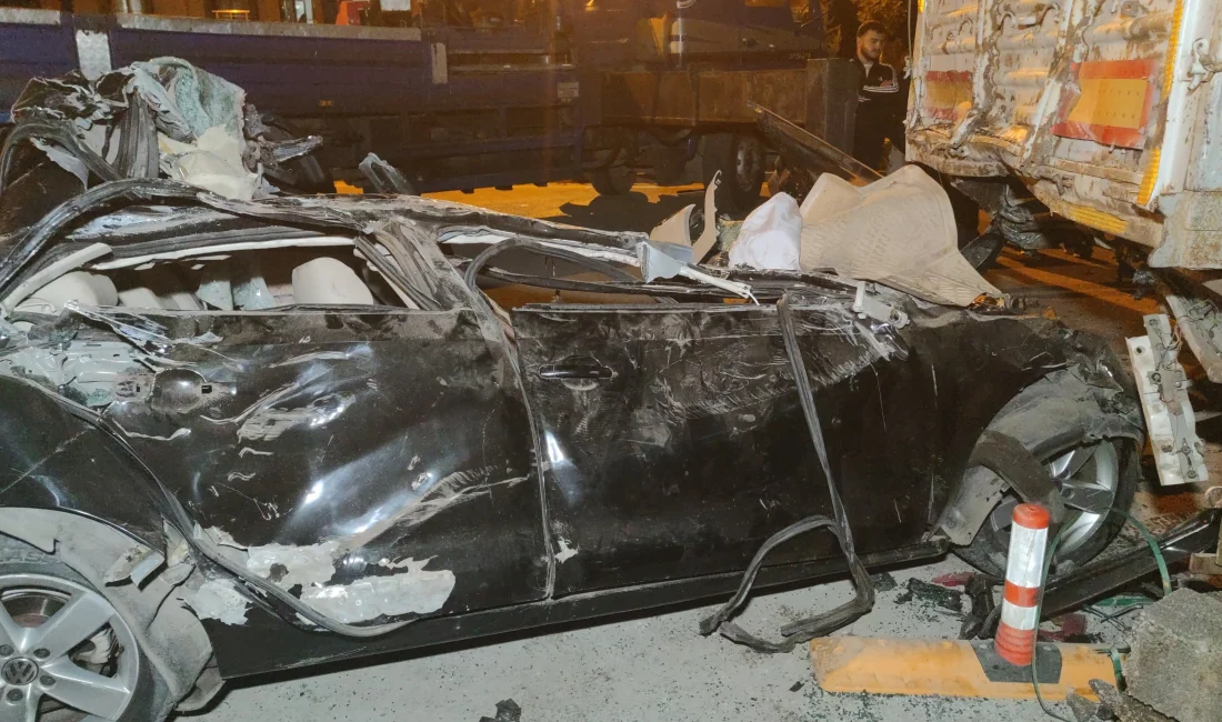Van’ın İpekyolu ilçesinde park halindeki tıra arkadan çarpan 41 plakalı