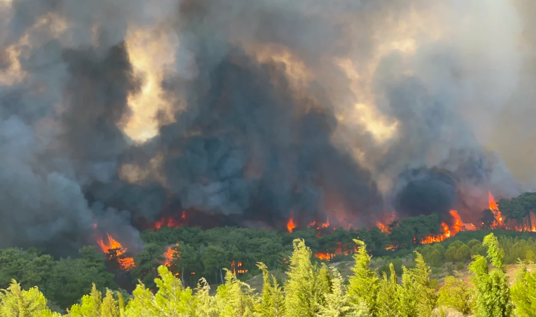 Çanakkale’nin Kepez beldesinde tarım arazisinde başlayıp ormana sıçrayan yangın, rüzgarın
