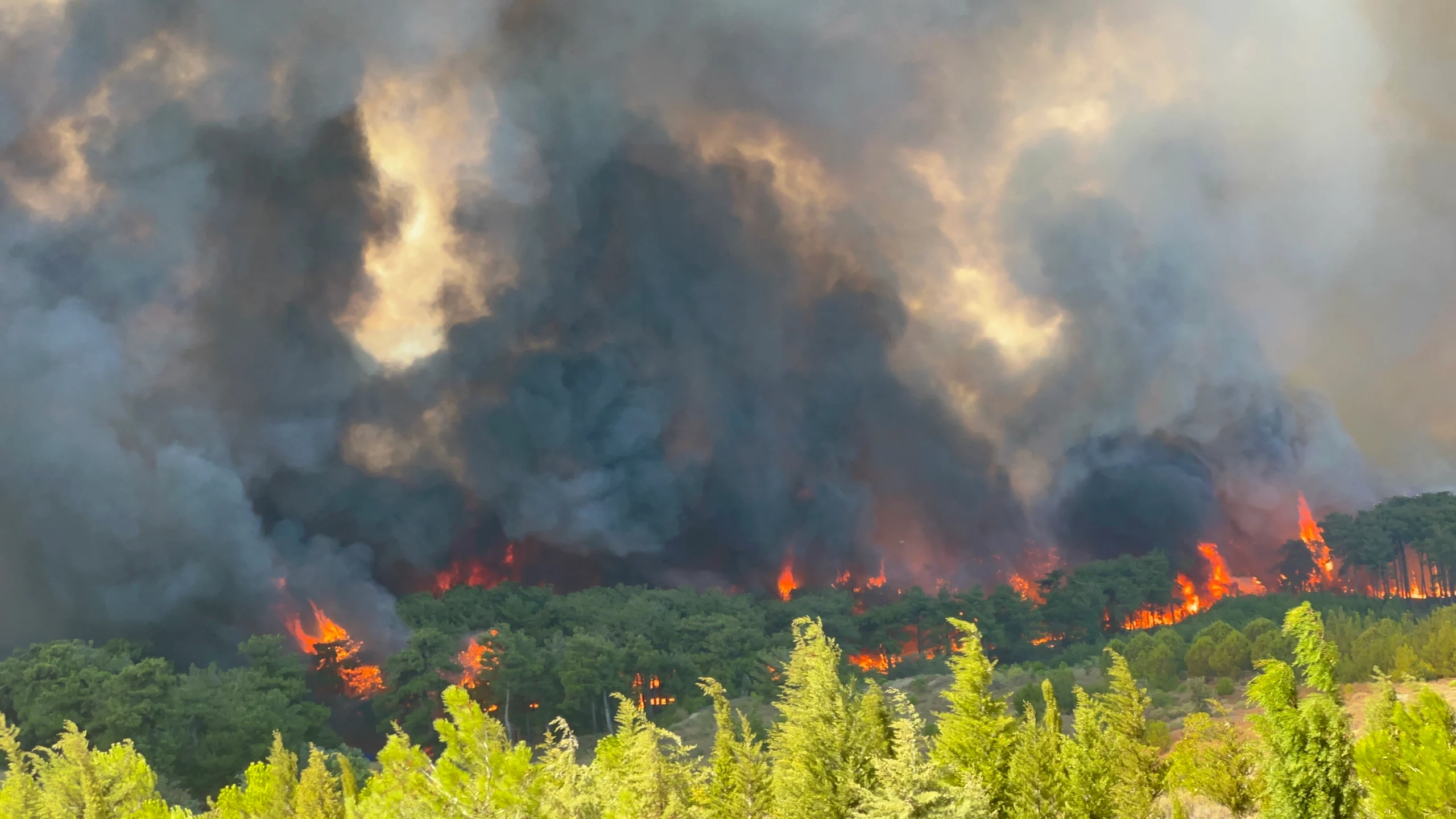 Çanakkale’nin Kepez beldesinde tarım arazisinde başlayıp ormana sıçrayan yangın, rüzgarın