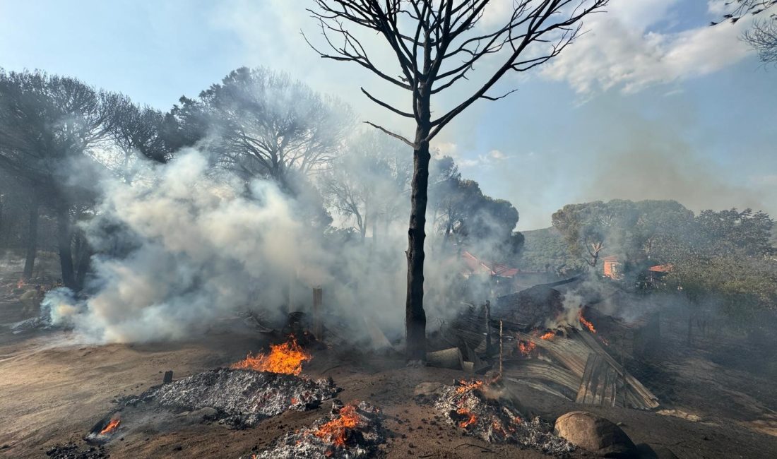 İzmir’in Bergama ilçesinde çıkan orman yangını, şiddetli rüzgarın etkisiyle yerleşim