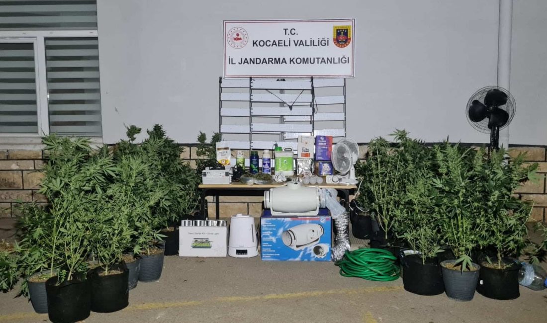 Kocaeli'nin İzmit ve Kandıra ilçelerinde yapılan operasyonlarda, 3 kilo 960