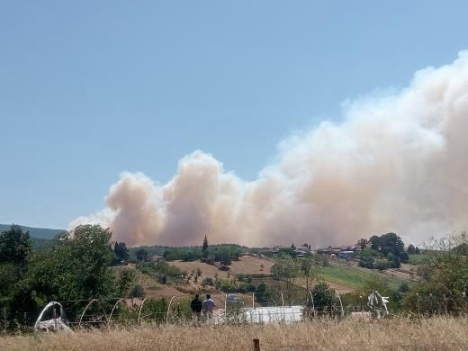 Kocaeli'nin Karamürsel ilçesinde orman yangını başladı. Bölgeye çok sayıda itfaiye