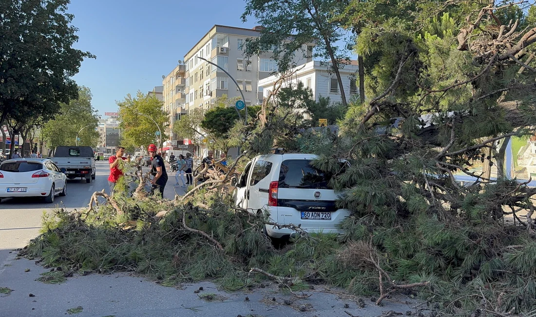 Kocaeli’de etkili olan şiddetli rüzgarda seyir halindeki hafif ticari aracın