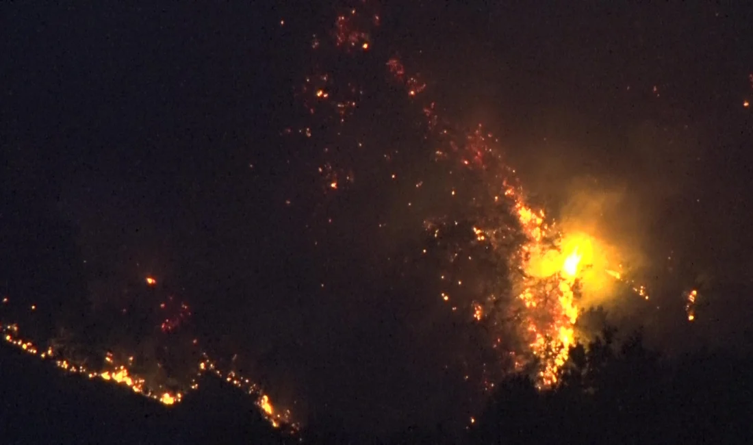 Kocaeli'nin Karamürsel ilçesinde çıkan orman yangınını kontrol altına almak için