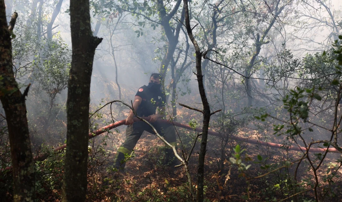 Kocaeli İtfaiyesi, Karamürsel'deki yangına 3 uçak, 8 helikopter, 75 araç