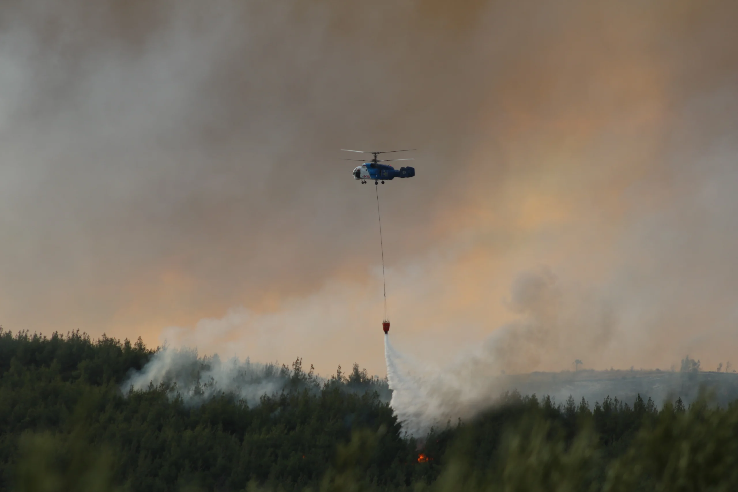 Çanakkale'nin Gelibolu ilçesinde çıkan orman yangınına Orman Bölge Müdürlüğü ekipleri