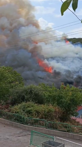 Kocaeli'nin İzmit ilçesi Kuruçeşme mevkiinde yerleşim yerlerine yakın bölgede orman