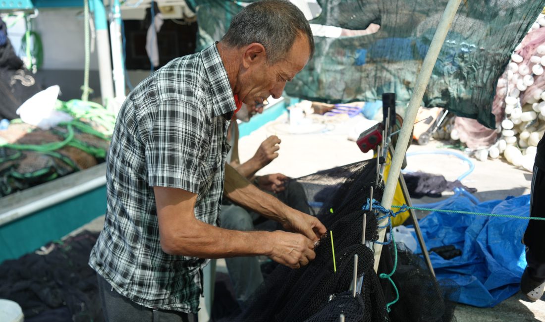 Kocaeli'nin Karamürsel ilçesinde 1 Eylül'de sona erecek av yasağı öncesi