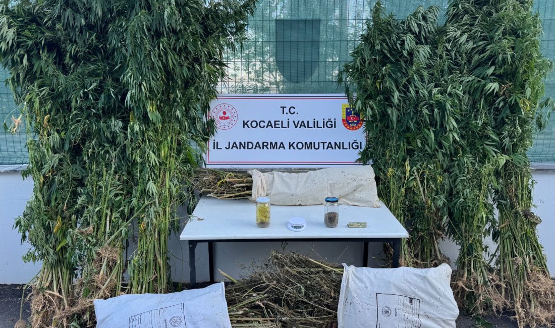 Kocaeli'nin İzmit ilçesinde yapılan operasyonda 12 kilo esrar ve 583